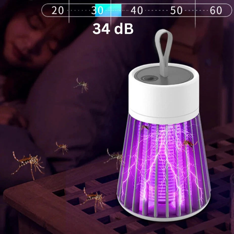 Portable anti-mosquito lamp with electric shock