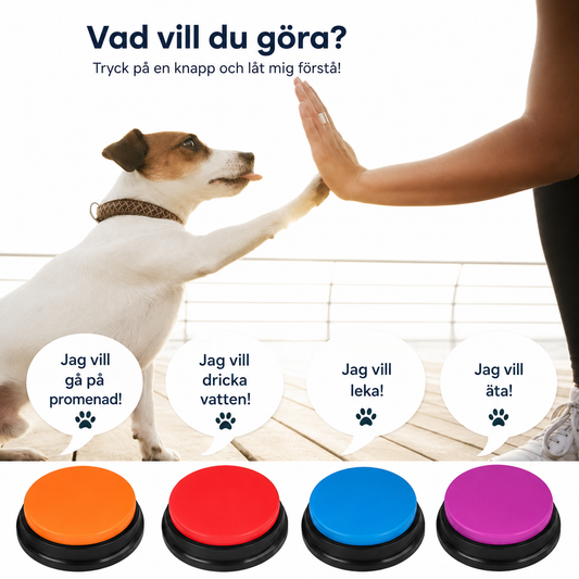 Talking button with voice recording for dogs and cats