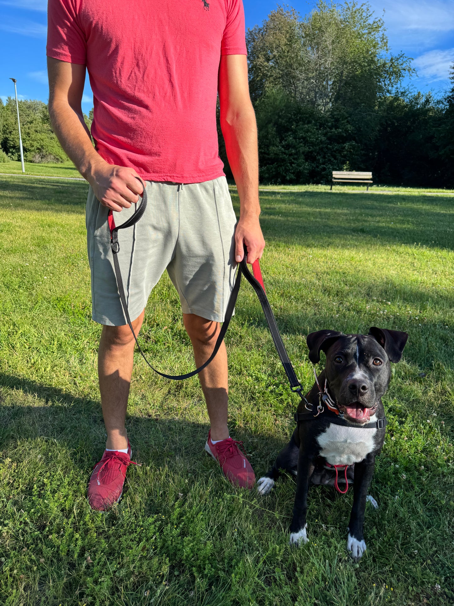 Reflex leash with double handles