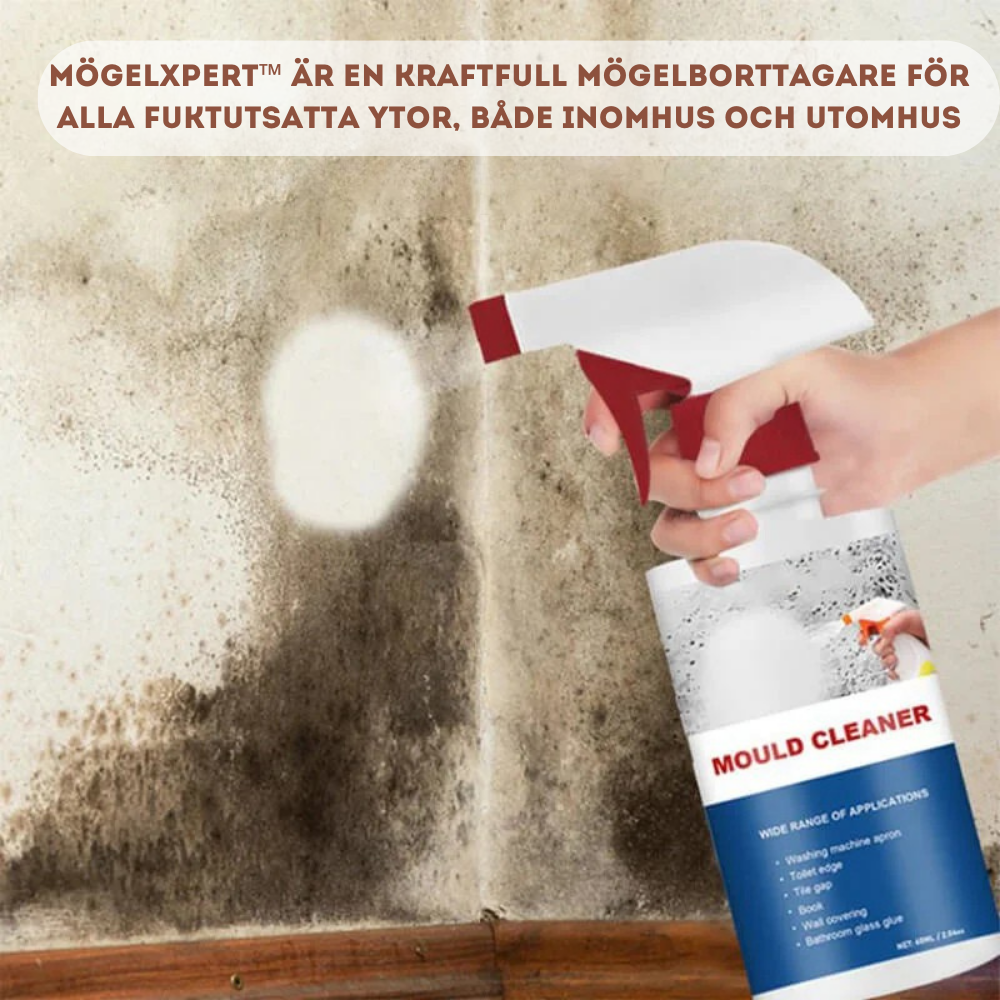 MögelXpert – Effective removal of mold and moisture stains