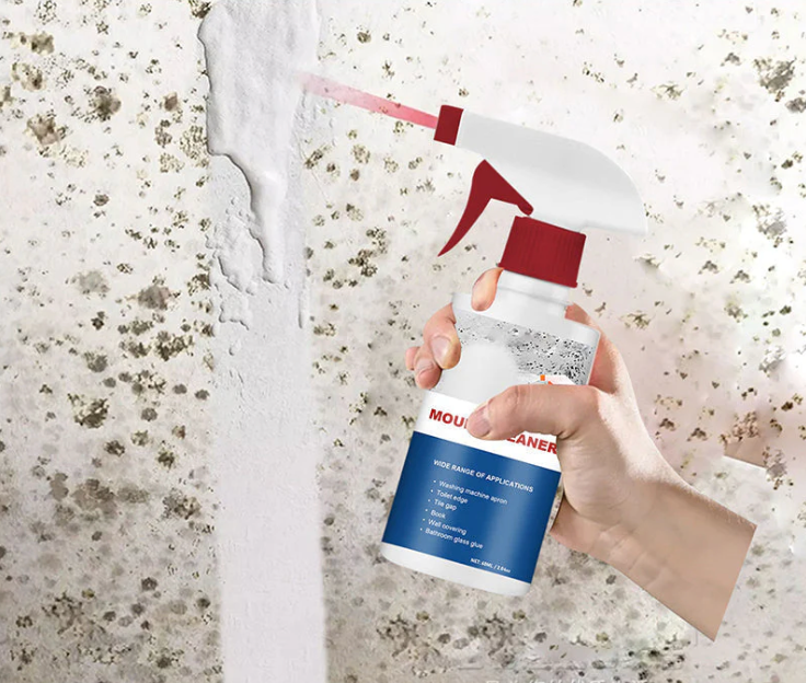 MögelXpert – Effective removal of mold and moisture stains