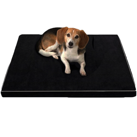 Orthopedic memory foam mattress for larger and older dogs