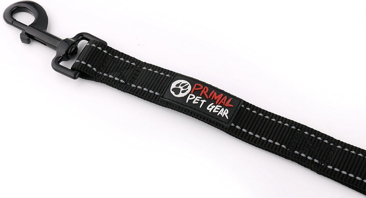 Reflex leash with double handles