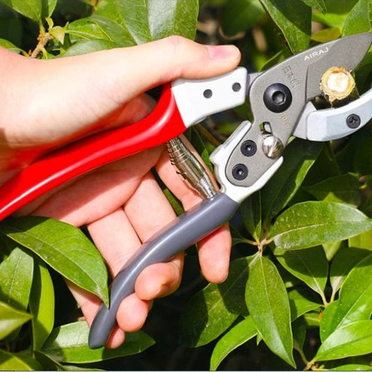 Secateurs - garden shears