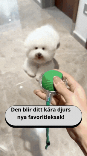 PawMotion – Interactive dog toy with sensor-controlled movement