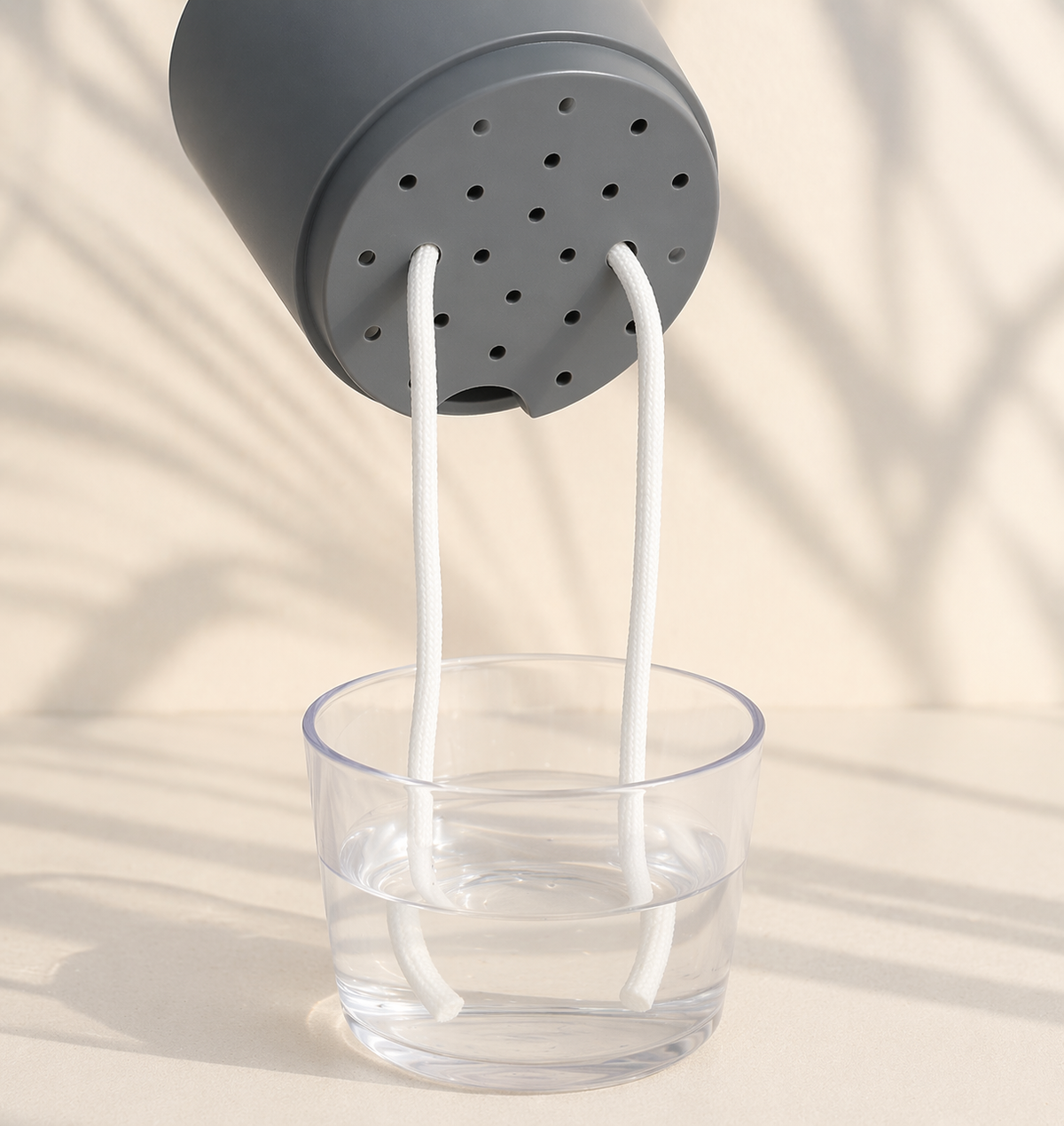 Self-watering Pot