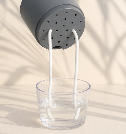 Self-watering Pot