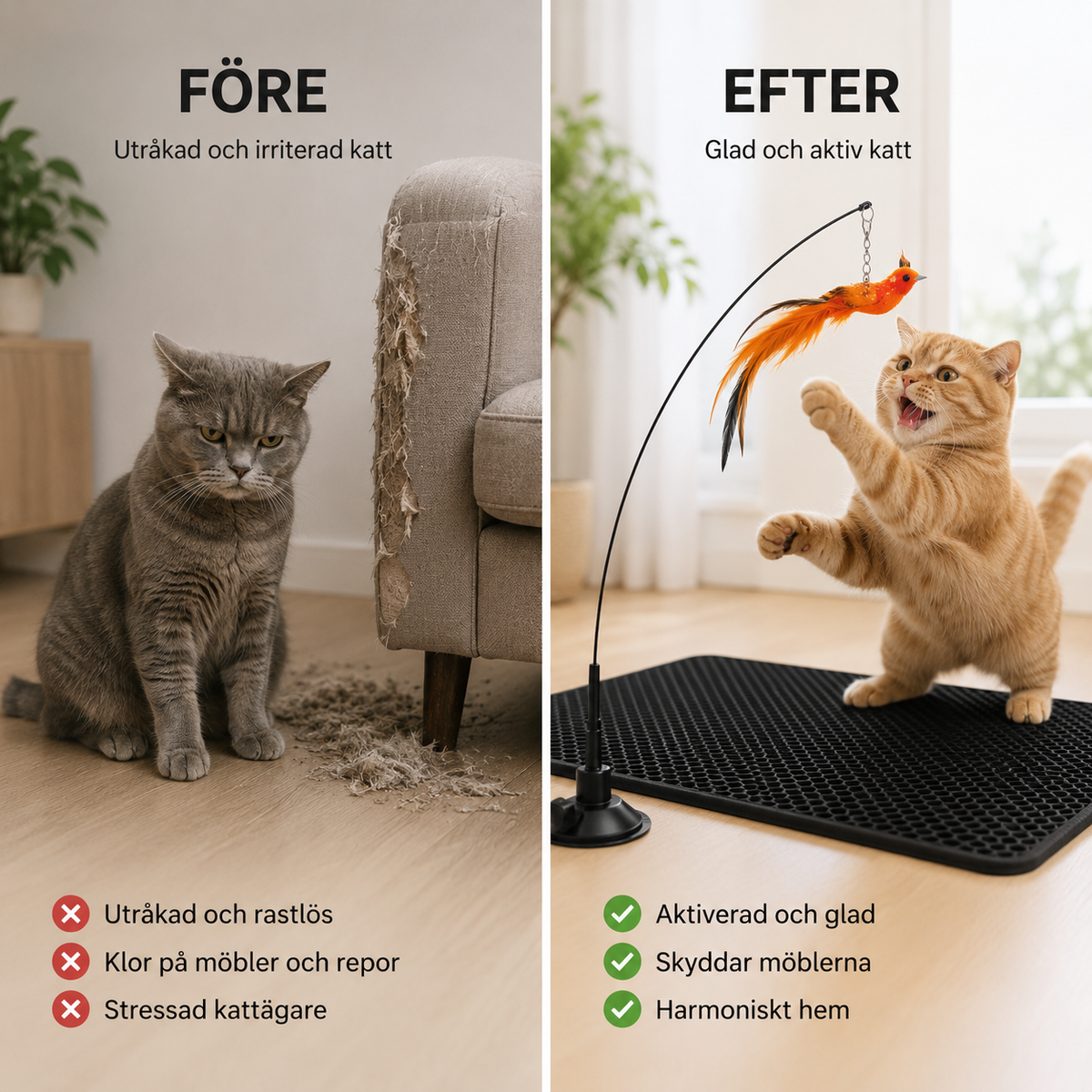 Feather hunting – For the cat, play is not just play