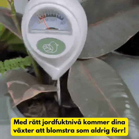 Moisture meter