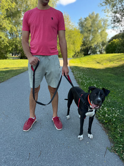 Reflex leash with double handles