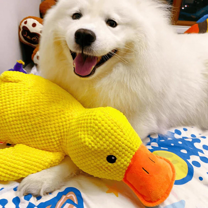 Dog toy for teeth cleaning - Duck