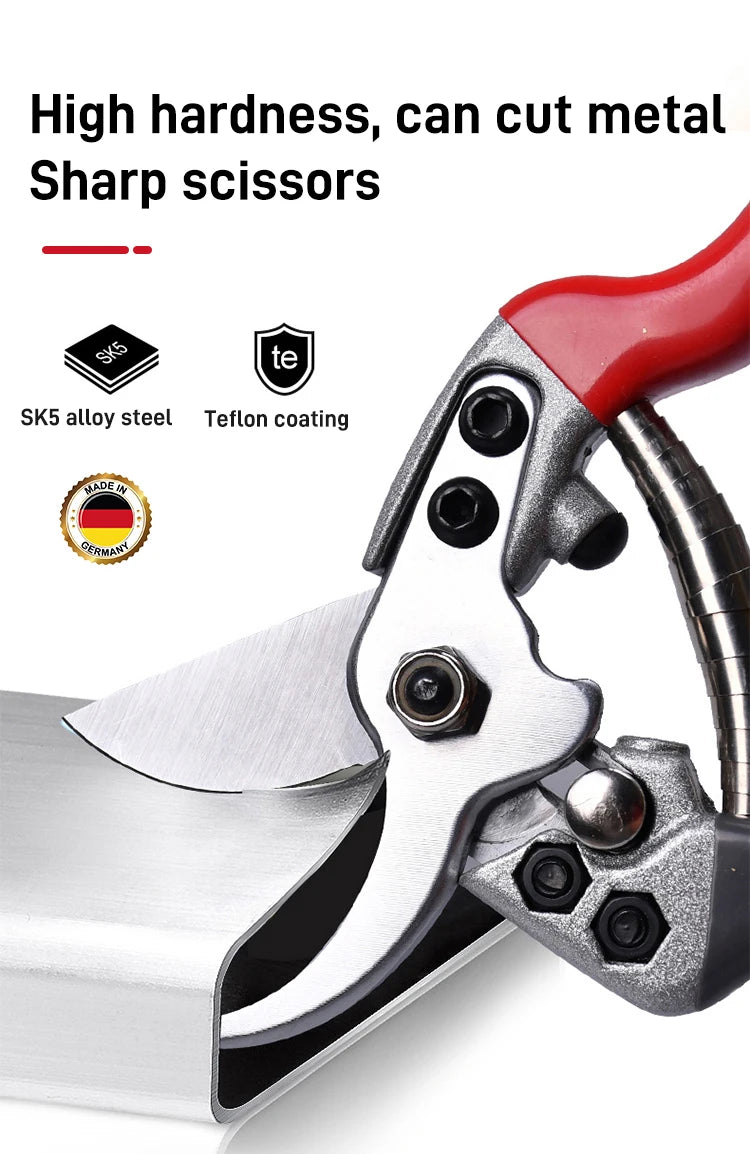 Secateurs - garden shears