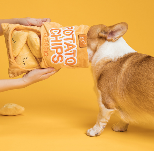 Interactive Dog Toy for Dental Care-Chip bag