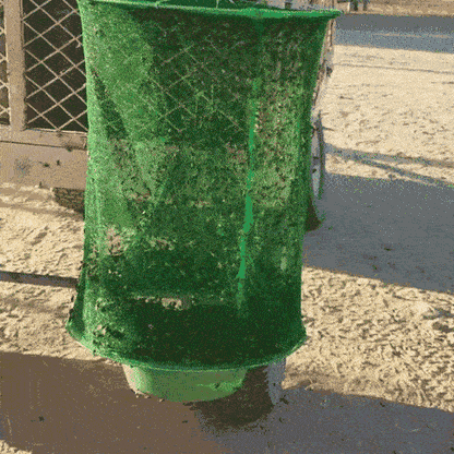 Hanging Insect Trap - Non-toxic solution for mosquitoes, flies and wasps