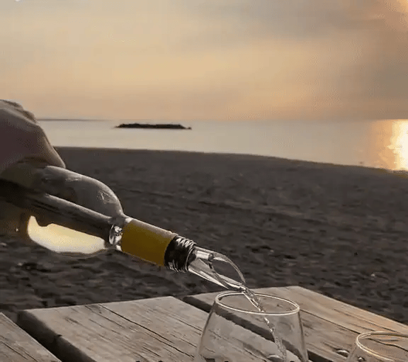 Premium Wine Cooler – Always a perfectly chilled drink, without ice or spillage