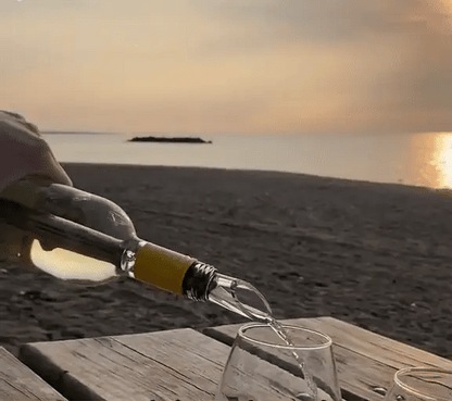Premium Wine Cooler – Always a perfectly chilled drink, without ice or spillage