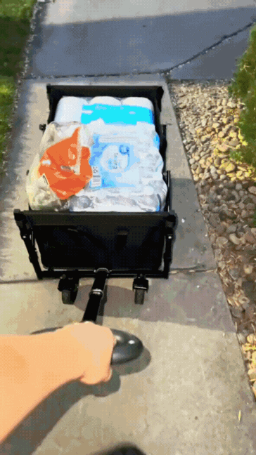 GoCarry Collapsible Cargo Trolley - For beach, garden & shopping