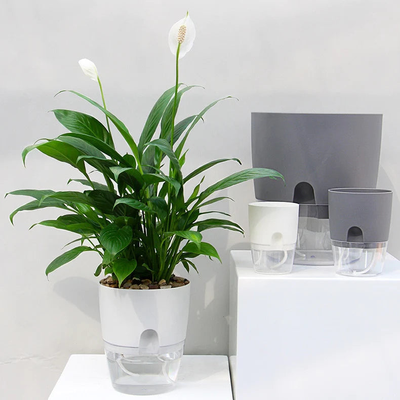 Self-watering Pot